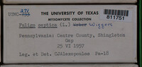 Image Associated With the Occurence